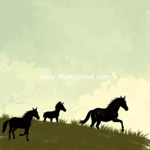 Read more about the article Can arkansas school vouchers be used for equine education?