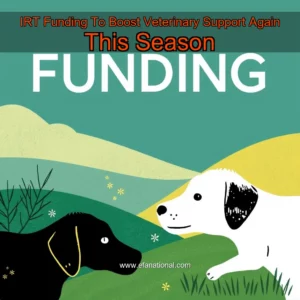 Read more about the article IRT Funding To Boost Veterinary Support Again This Season