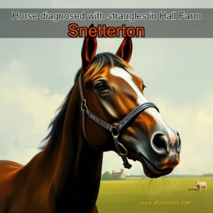 Read more about the article Horse diagnosed with strangles in Hall Farm  Snetterton