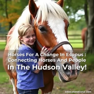 Read more about the article Horses For A Change In Esopus : Connecting Horses And People In The Hudson Valley!